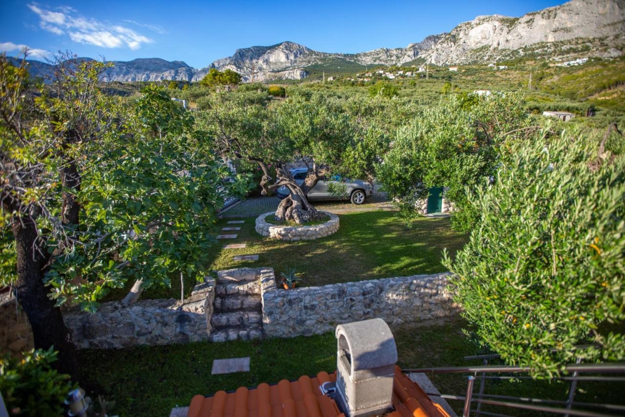 Villa Old Olive, 3Lovelyvillas Подгора Экстерьер фото